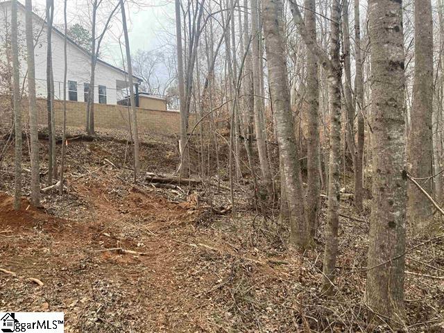 163 Rockingham Road Duncan, SC 29334 - Photo 4 of 7