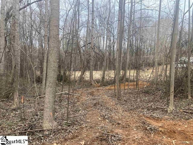 163 Rockingham Road Duncan, SC 29334 - Photo 5 of 7