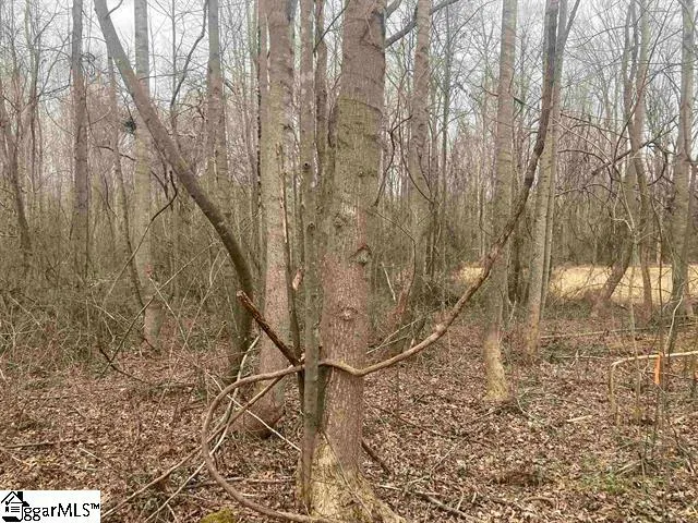 $54,900 | 163 Rockingham Road, Duncan, SC 29334