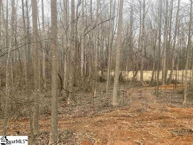 163 Rockingham Road Duncan, SC 29334 - Photo 6 of 7