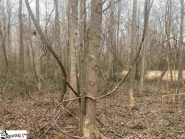 163 Rockingham Road Duncan, SC 29334 - Photo 6 of 7