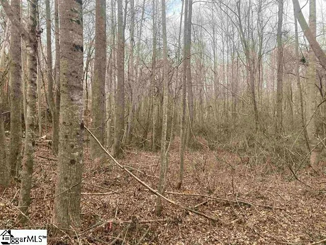 $54,900 | 163 Rockingham Road, Duncan, SC 29334