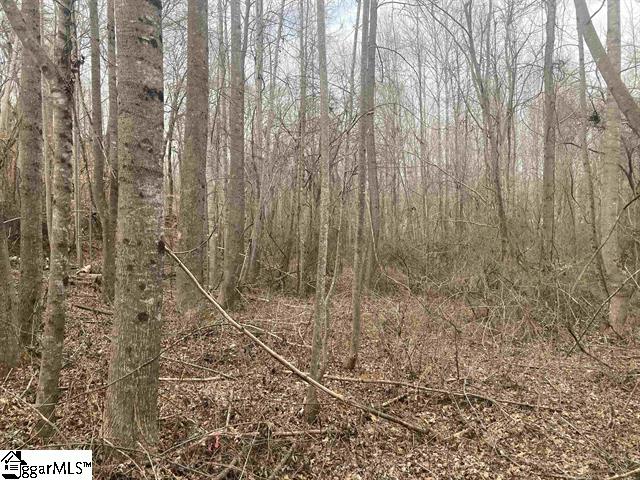 163 Rockingham Road Duncan, SC 29334 - Photo 7 of 7