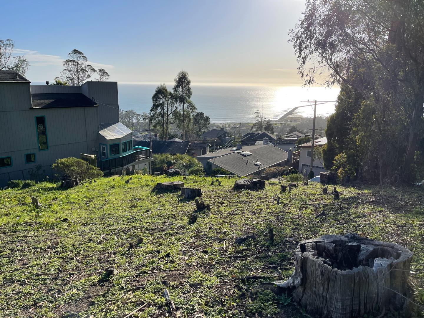 316 El Granada Boulevard Half Moon Bay, CA 94019 - Photo 1 of 6 a backyard of a house with table and chairs