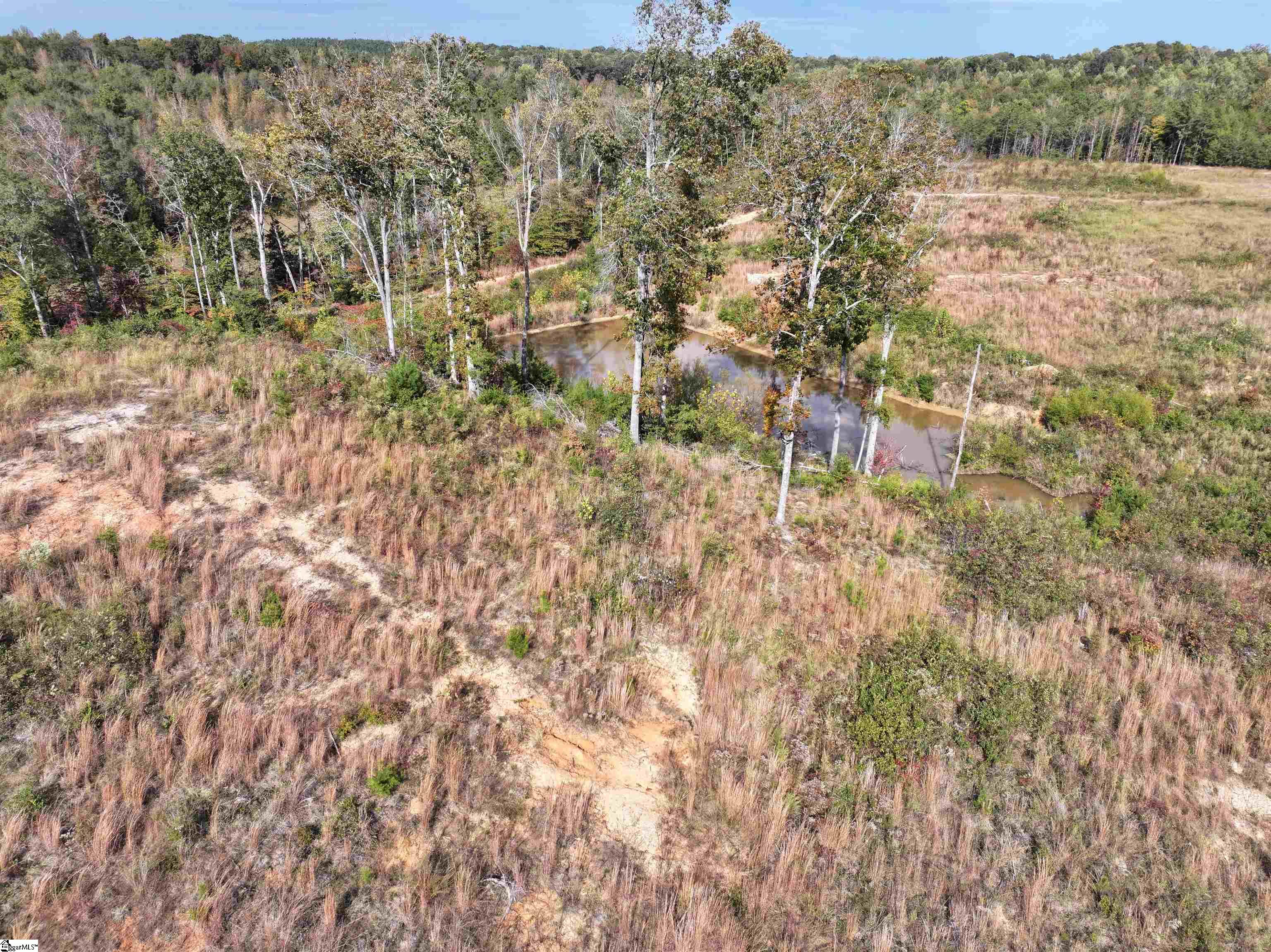 192 Putman Road Buffalo, SC 29321 - Photo 5 of 13