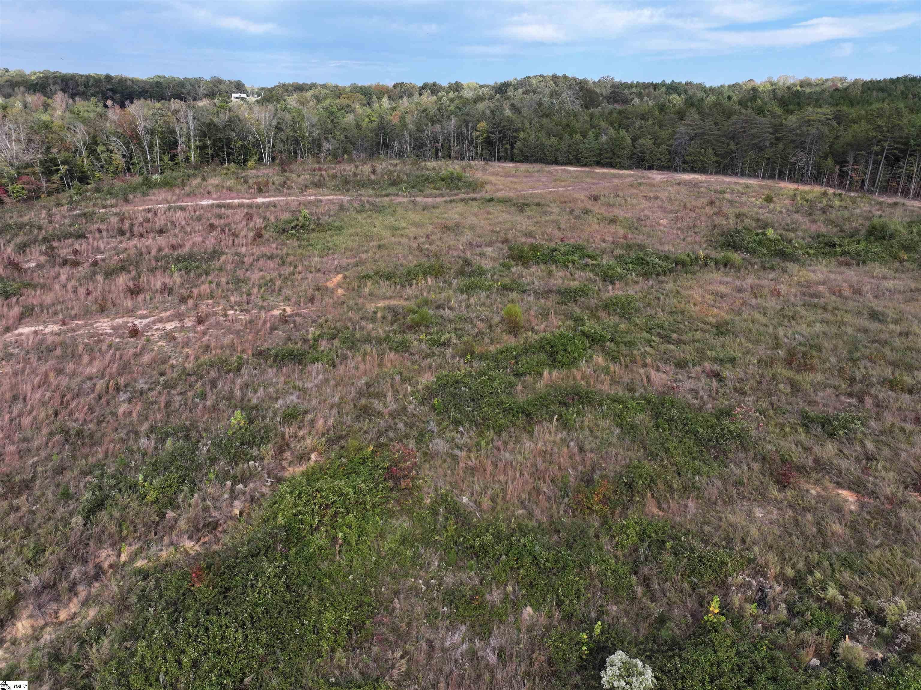 192 Putman Road Buffalo, SC 29321 - Photo 7 of 13