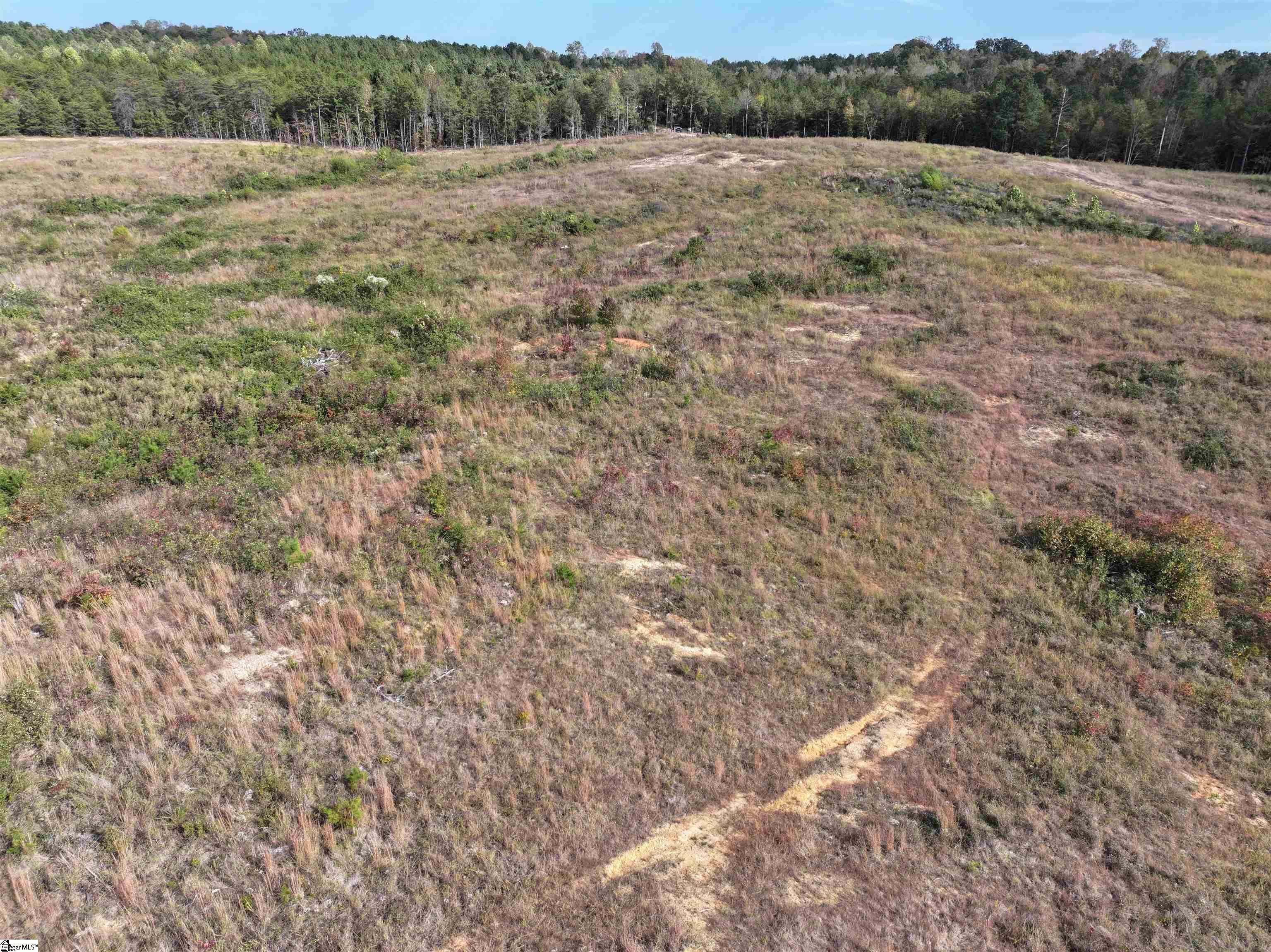 192 Putman Road Buffalo, SC 29321 - Photo 10 of 13