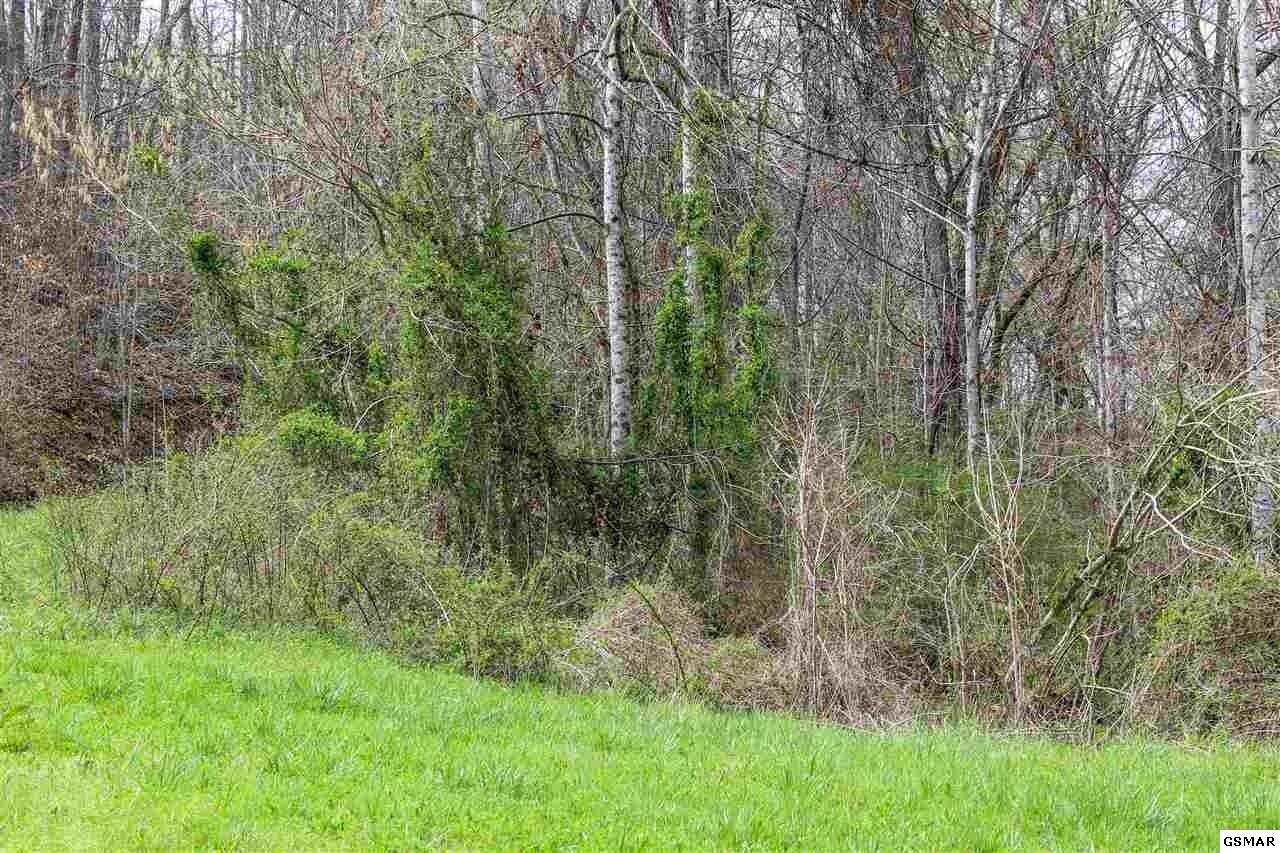 1940 Long Branch Road Seymour, TN 37865 - Photo 2 of 35 Gallery Image 2