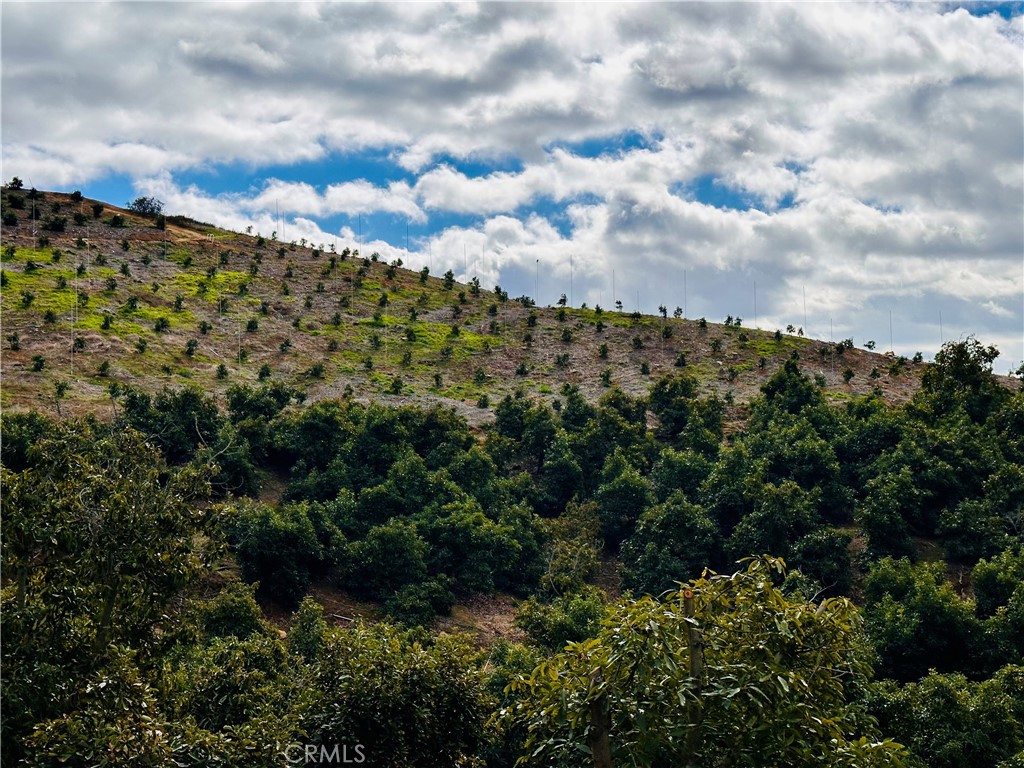 39725 Jones Road Fallbrook, CA 92028 - Photo 1 of 1 a view of a city