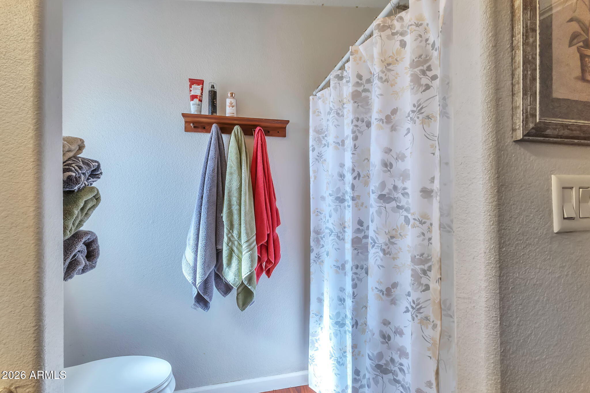 1236 West Judd Road San Tan Valley, AZ 85144 - Photo 15 of 28 a bathroom with a shower curtain and a curtain