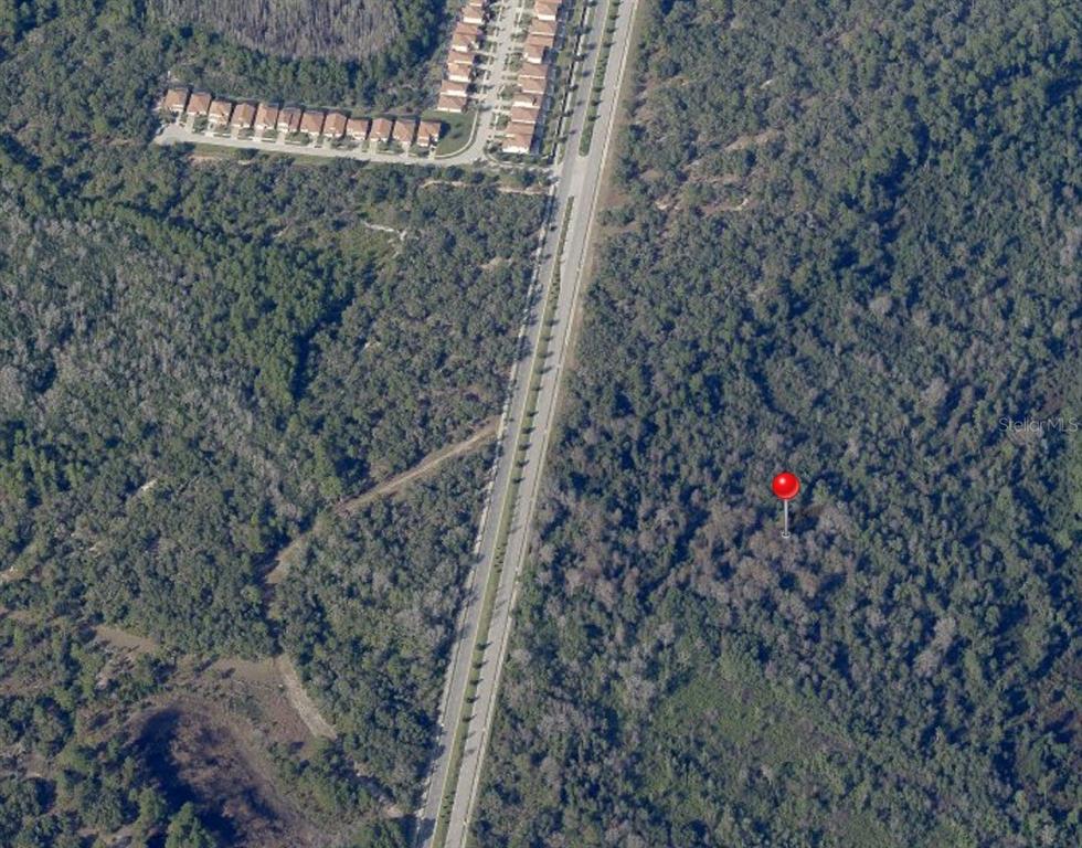 Westside Boulevard Kissimmee, FL 34747 - Photo 5 of 7 a view of a pathway with a tree