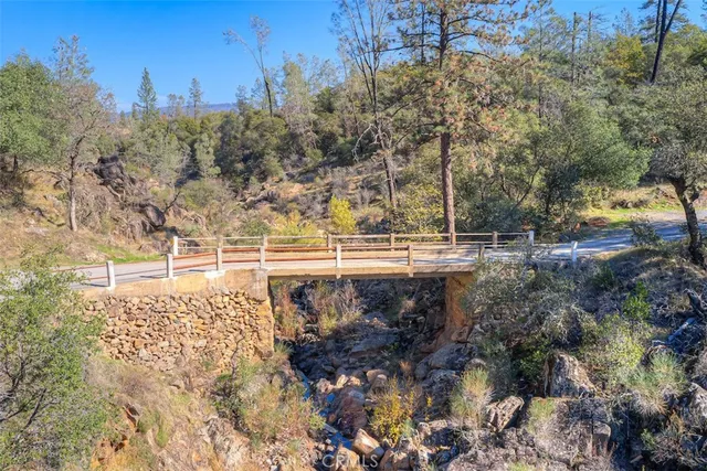 a view of a yard with trees