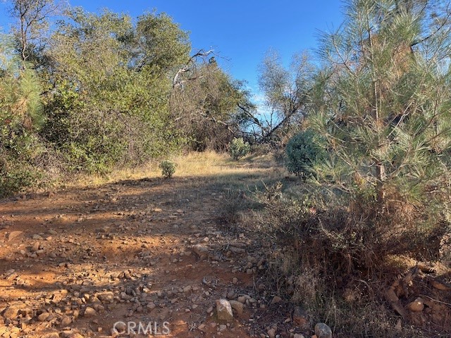 0 Swedes Flat Road Oroville, CA 95966 - Photo 18 of 28 a view of dirt field with trees in the background