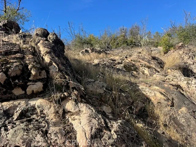a view of a lush green field with a mountain in the background