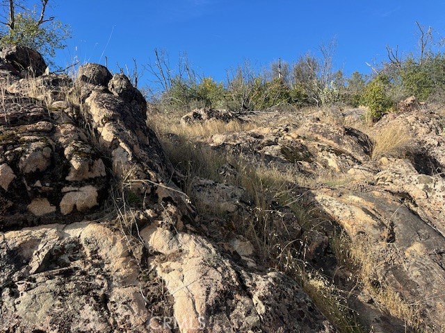 0 Swedes Flat Road Oroville, CA 95966 - Photo 22 of 28 a view of a forest with a tree