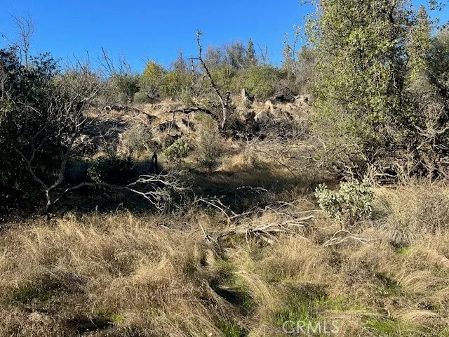 a view of a field with a mountain in the background