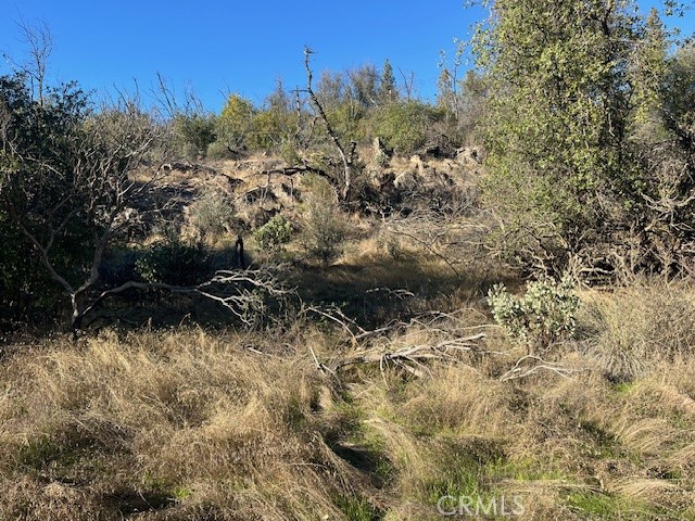 0 Swedes Flat Road Oroville, CA 95966 - Photo 24 of 28 a view of outdoor space and a yard