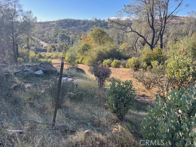 0 Swedes Flat Road Oroville, CA 95966 - Photo 27 of 28 a view of a yard with large trees