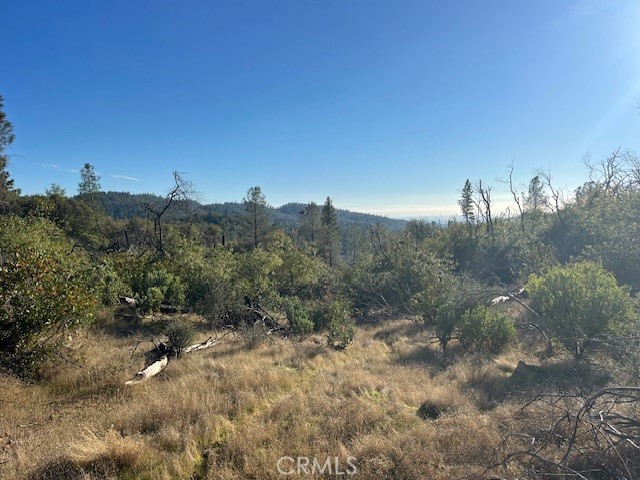 0 Swedes Flat Road Oroville, CA 95966 - Photo 3 of 28 a view of a forest with a tree in the background