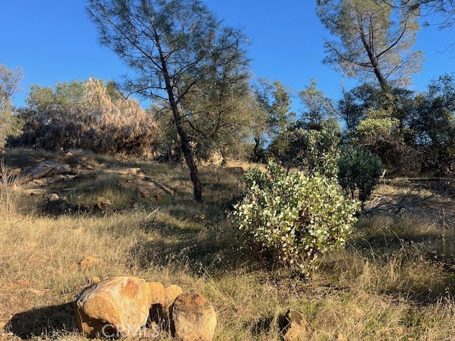 0 Swedes Flat Road Oroville, CA 95966 - Photo 7 of 28 a view of a yard with plants and trees