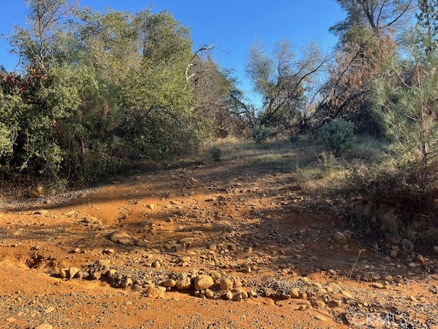0 Swedes Flat Road Oroville, CA 95966 - Photo 10 of 28 a view of a yard with a tree