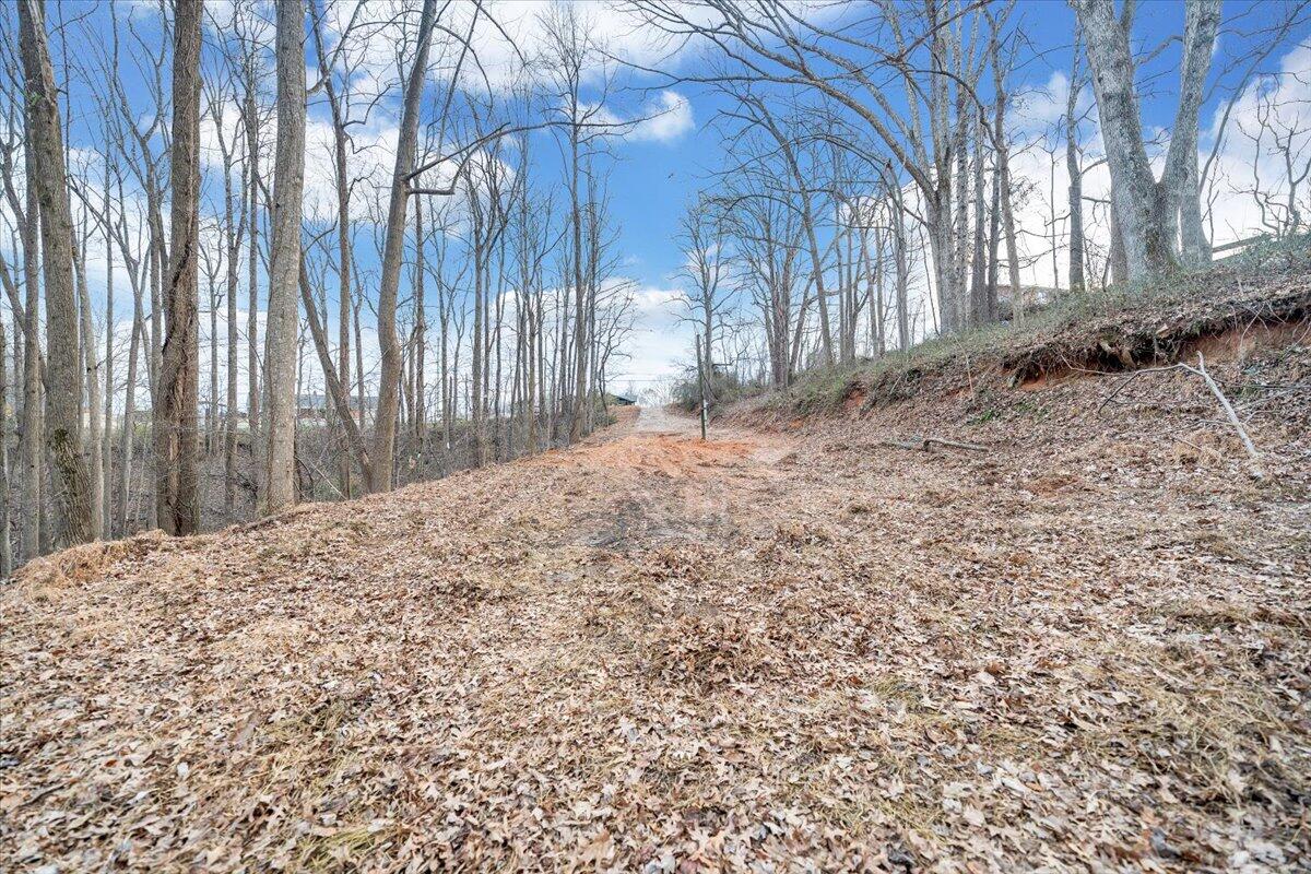 585 Doe Run Road Rocky Mount, VA 24151 - Photo 10 of 30 a view of a backyard of the house