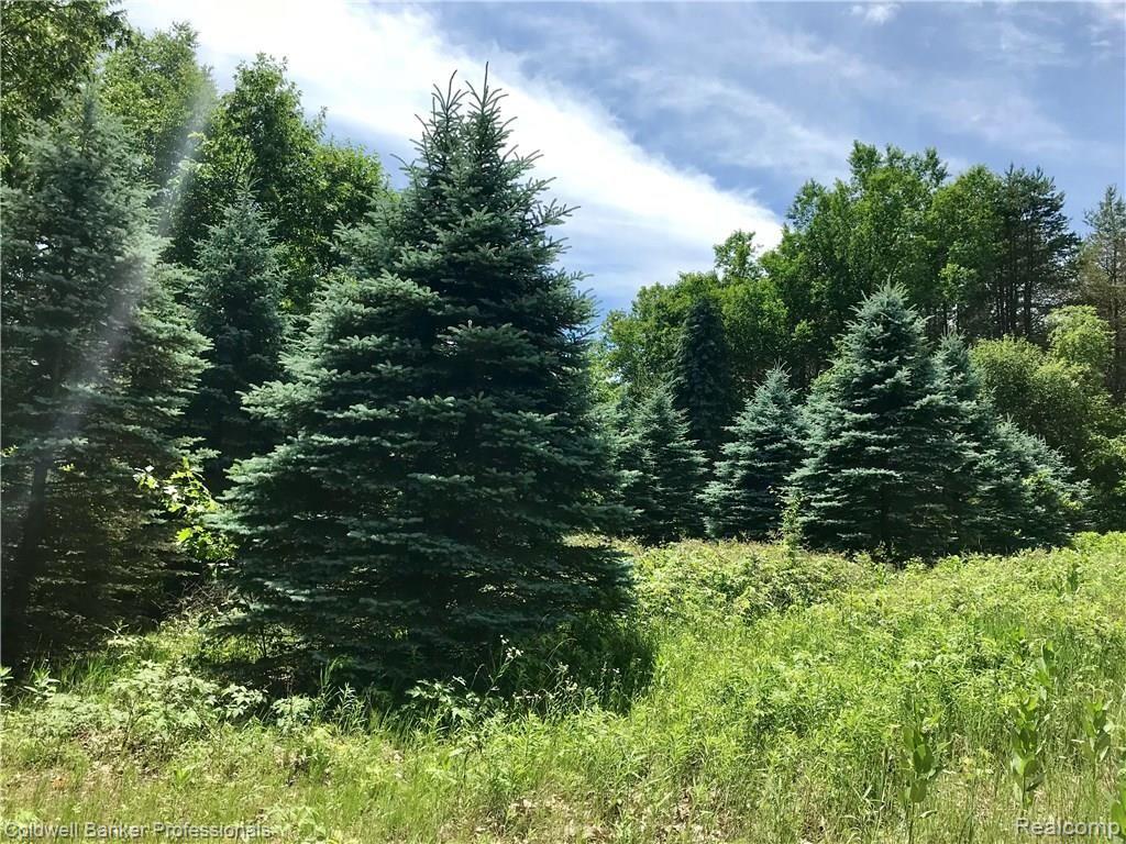 0 Lake Road Otisville, MI 48463 - Photo 9 of 12