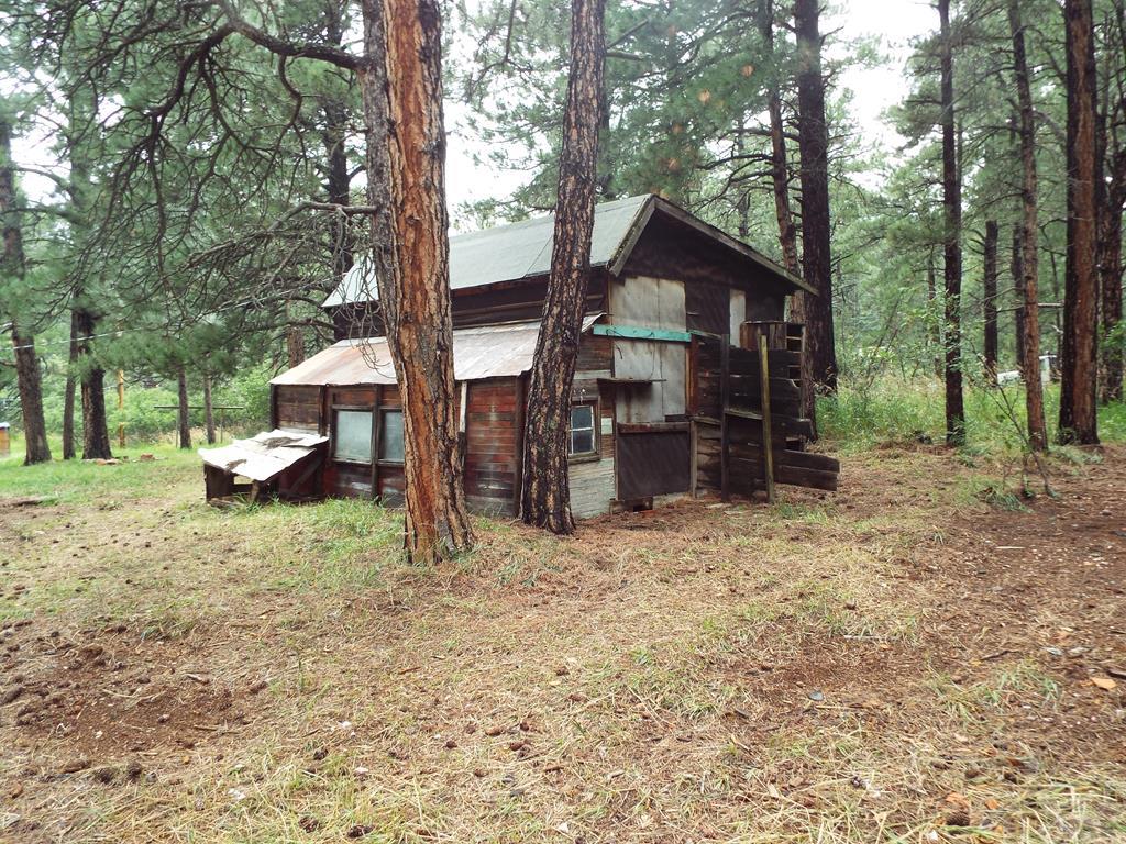 8245 Green Lane Rye, CO 81069 - Photo 8 of 18