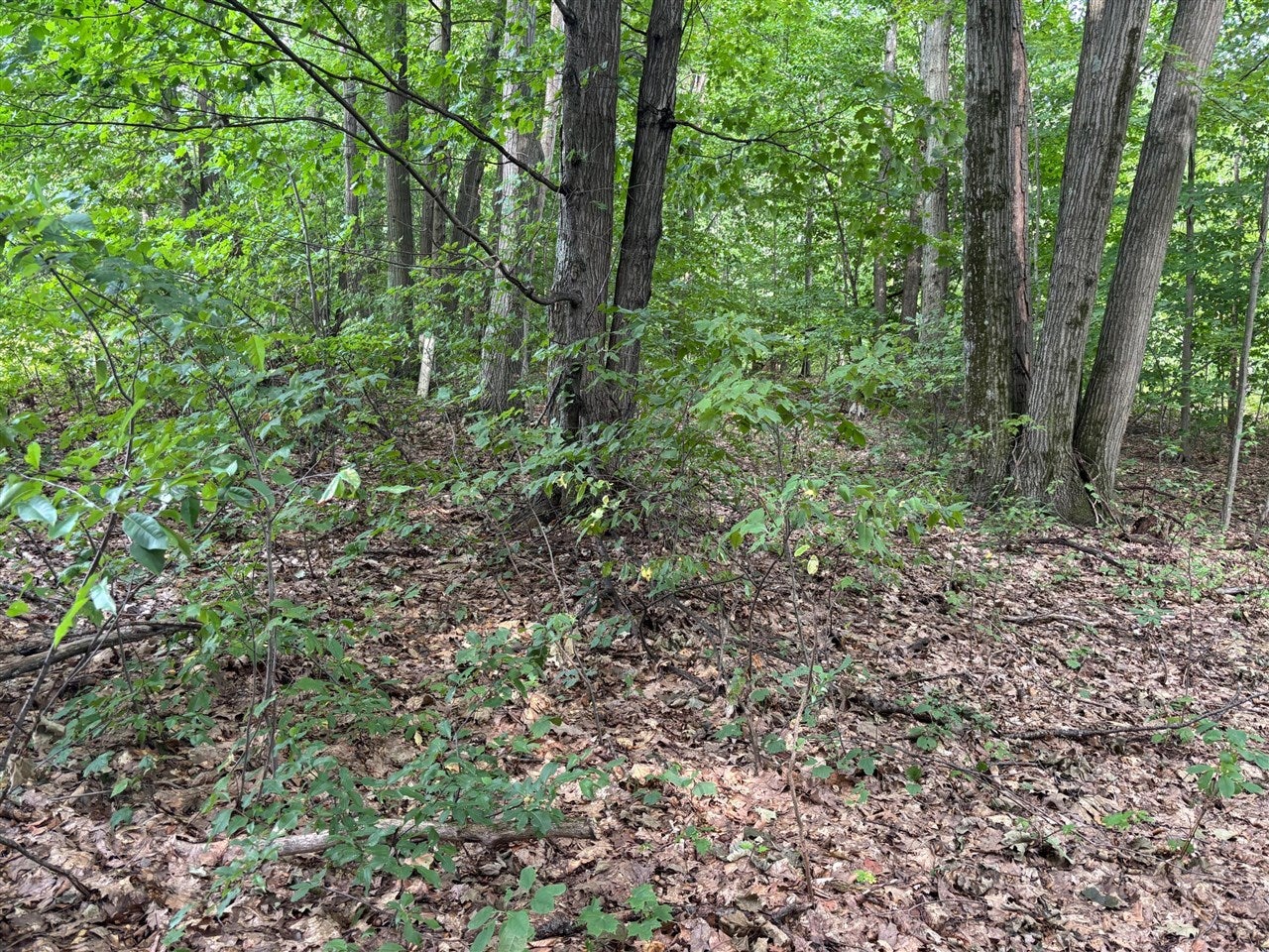 2905 East Jackson Road Walkerville, MI 49459 - Photo 64 of 64 Gallery Image 64
