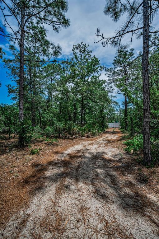 12123 Fulmar Road Weeki Wachee, FL 34614 - Photo 73 of 81