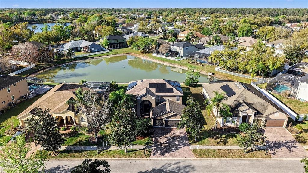 5128 Hartwell Loop Land O' Lakes, FL 34638 - Photo 36 of 43