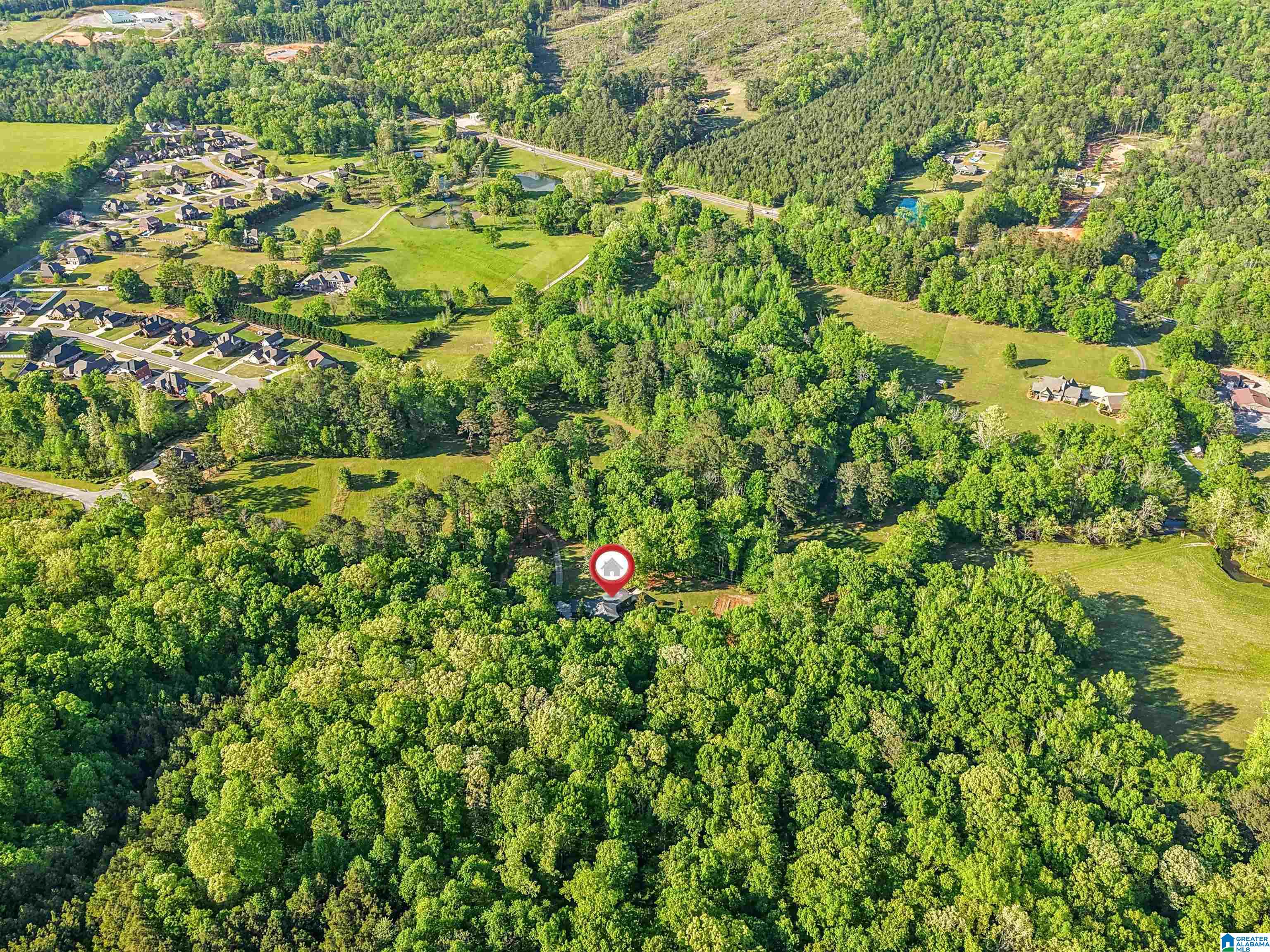 1680 Highway 174 Springville, AL 35146 - Photo 40 of 97