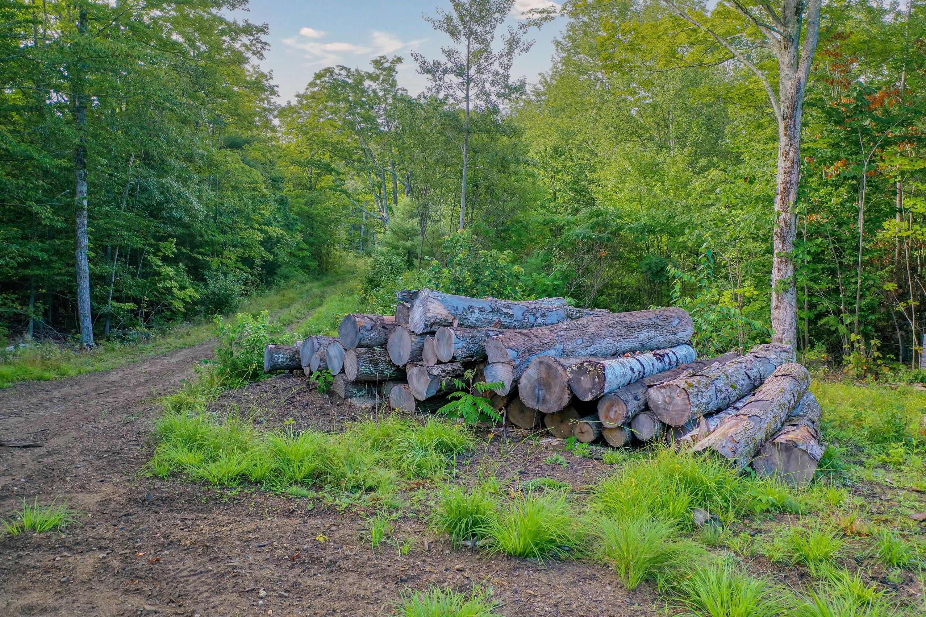 Lot Tbd Dingley Road Bowdoinham, ME 04008 - Photo 15 of 24 Dingley Rd Lot 38_114