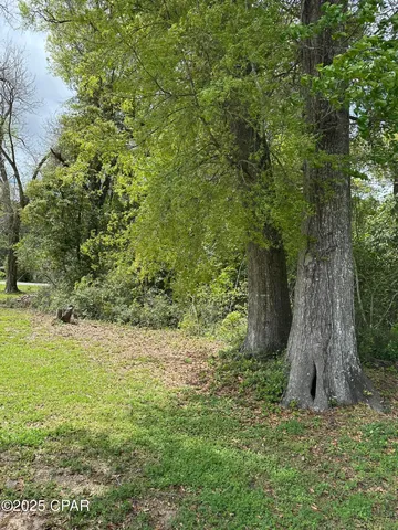 $59,900 | 0 Fort Road, Greenwood, FL 32443