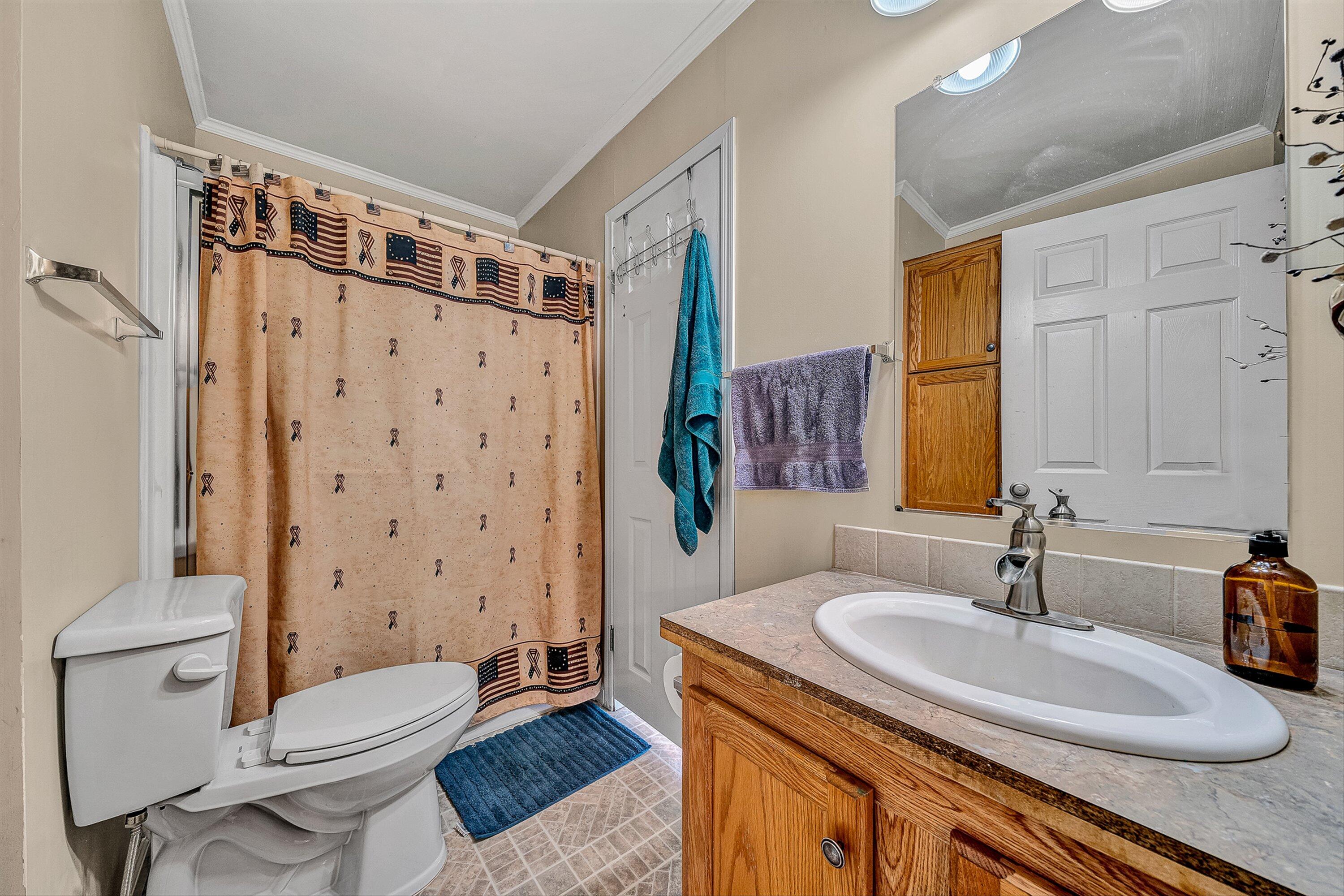 159 Simmons Creek Road Union Hall, VA 24176 - Photo 26 of 55 a bathroom with a sink a toilet and shower curtain