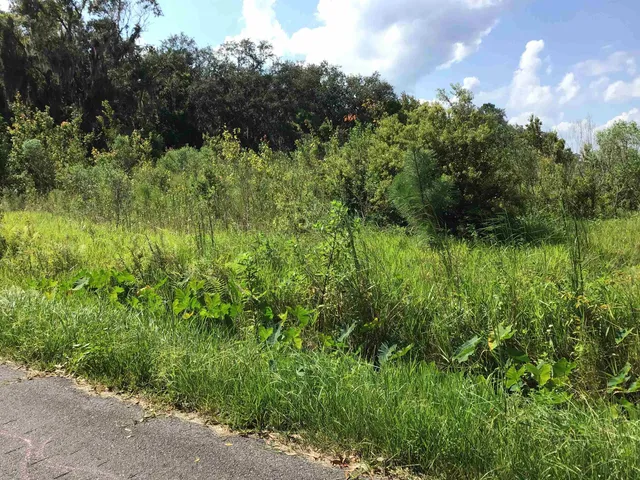 a view of a garden with a pathway