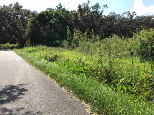 a view of a lush green space
