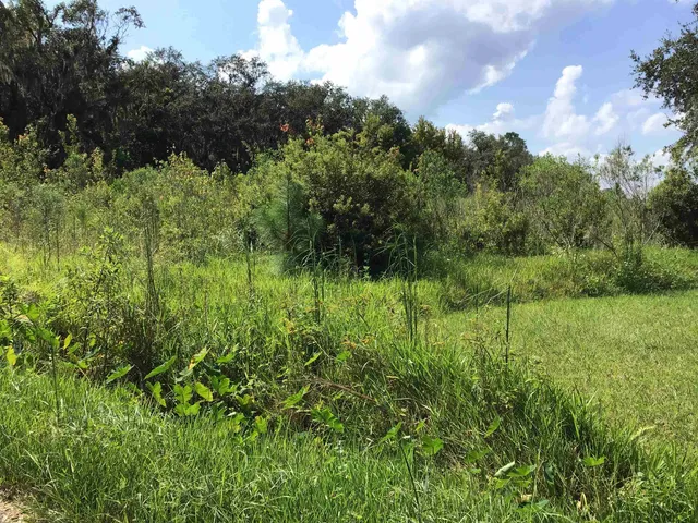 a view of a lake from a yard