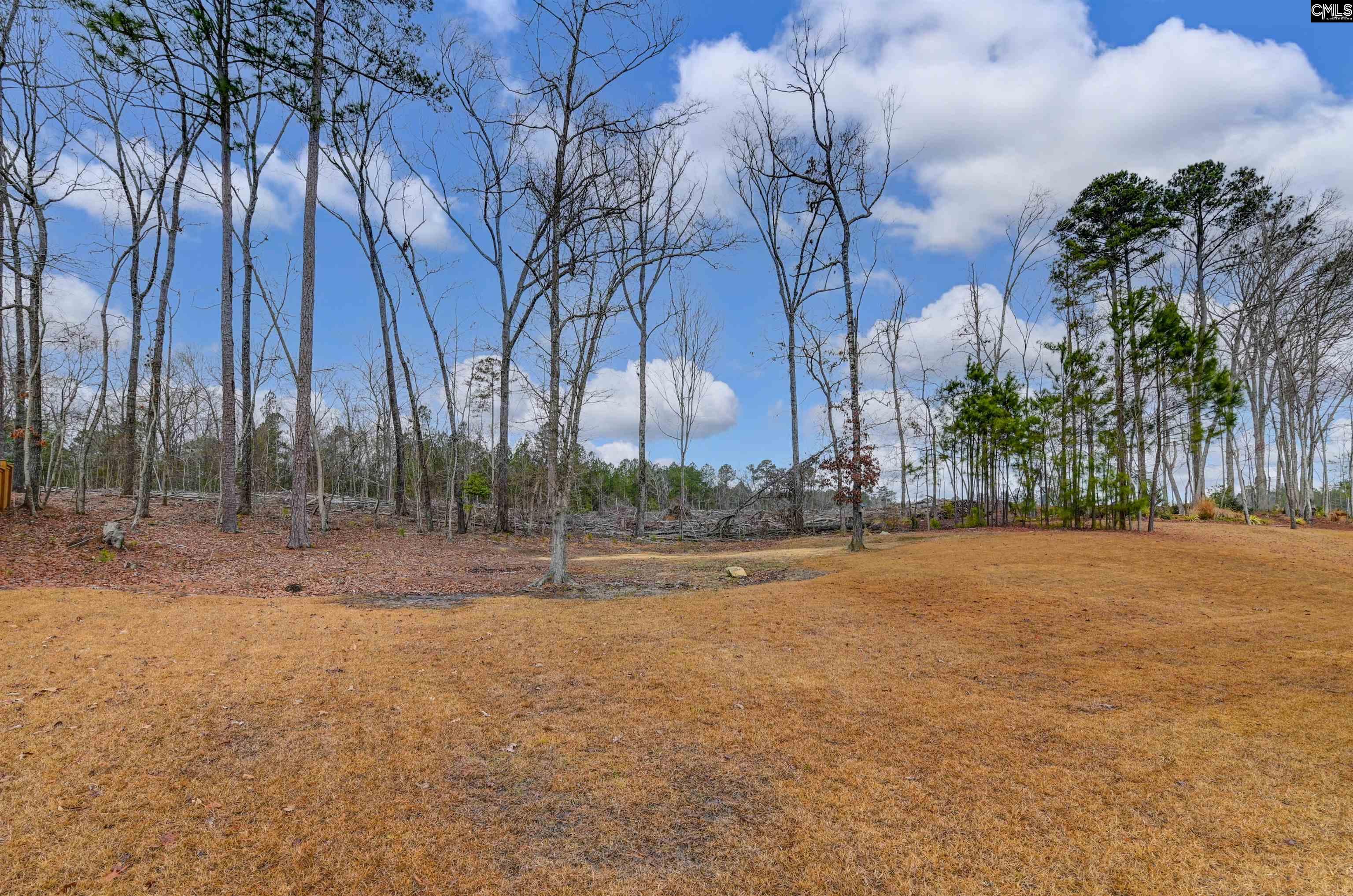 175 Autumn Drive Prosperity, SC 29127 - Photo 33 of 39