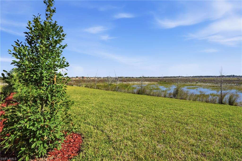 3958 Button Sage Road Alva, FL 33920 - Photo 38 of 50 a view of yard with ocean view