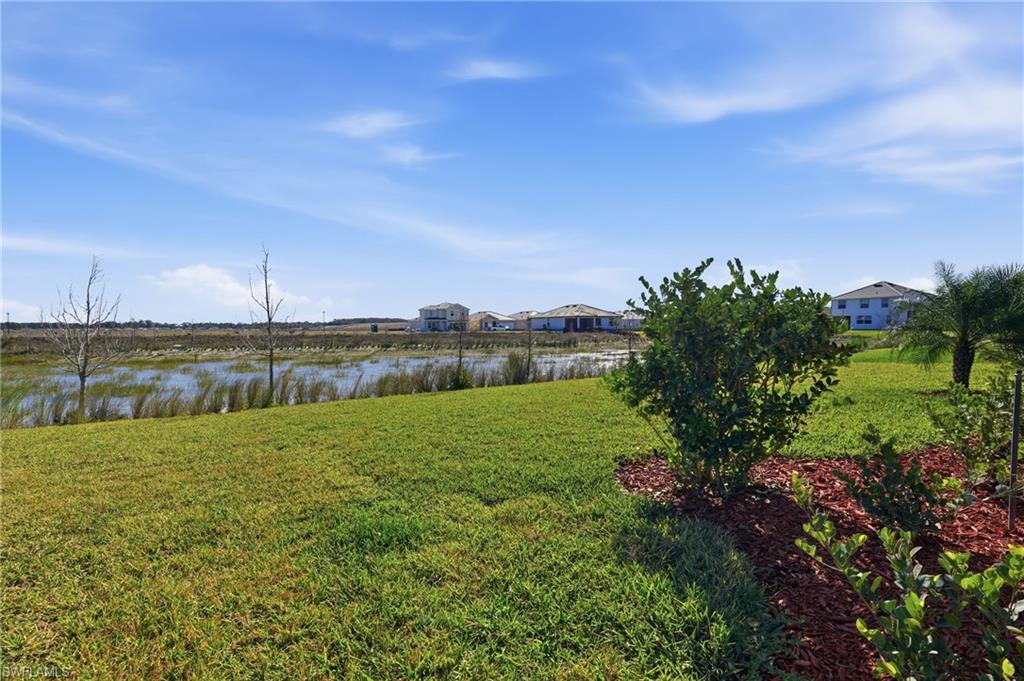 3958 Button Sage Road Alva, FL 33920 - Photo 41 of 50 a view of a backyard with plants and large trees