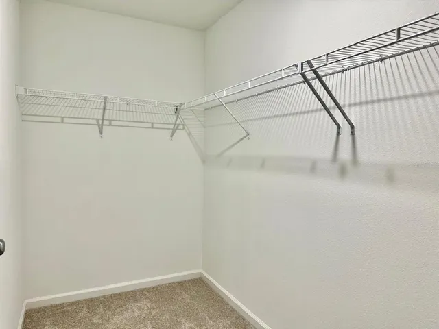 a white toilet sitting next to a shower curtain