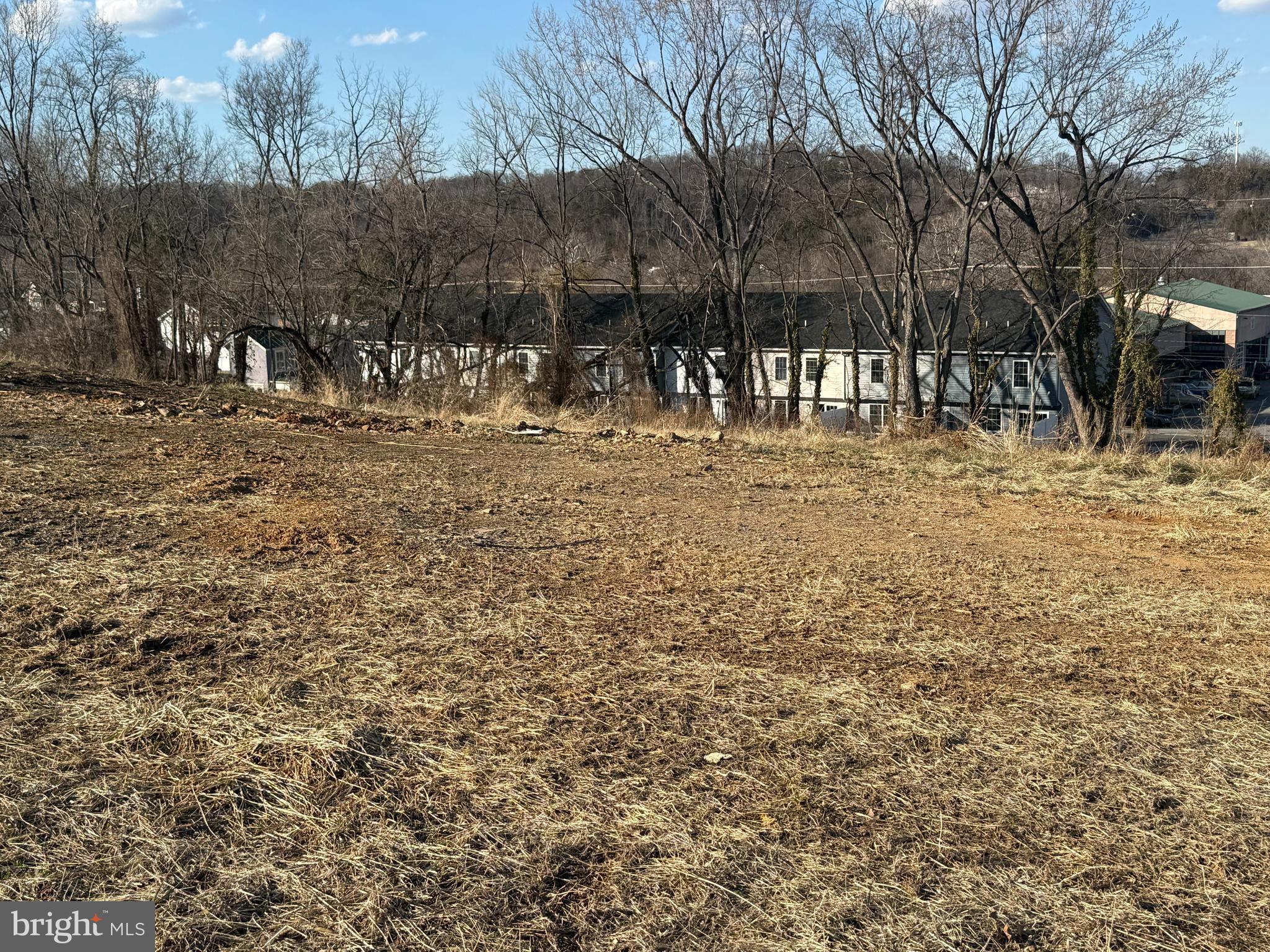 Lot 26 Strasburg Road West Front Royal, VA 22630 - Photo 2 of 4 a view of a yard with a tree