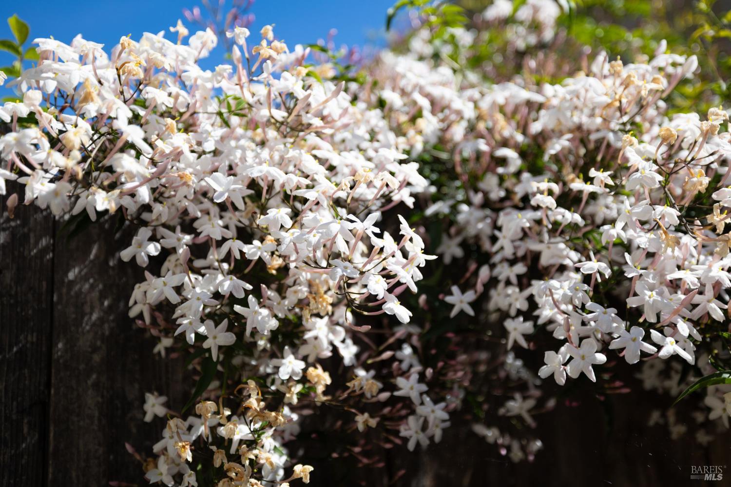 300 Stony Point Road, Unit 139 Santa Rosa, CA 95401 - Photo 28 of 29