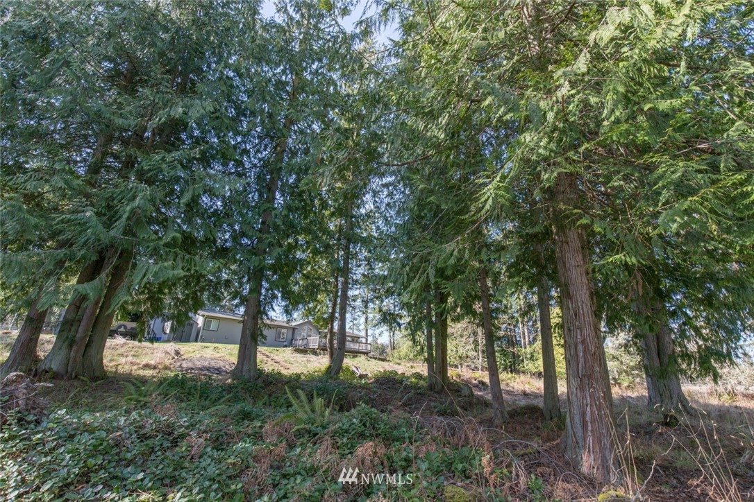 121 Gellor Road Port Angeles, WA 98362 - Photo 8 of 40 Gallery Image 8