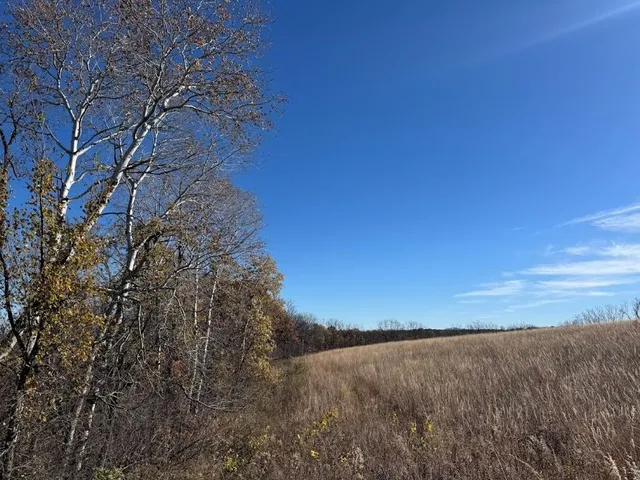 $390,000 | 11.5 M/l Acres Primrose Centre, Belleville, WI 53508