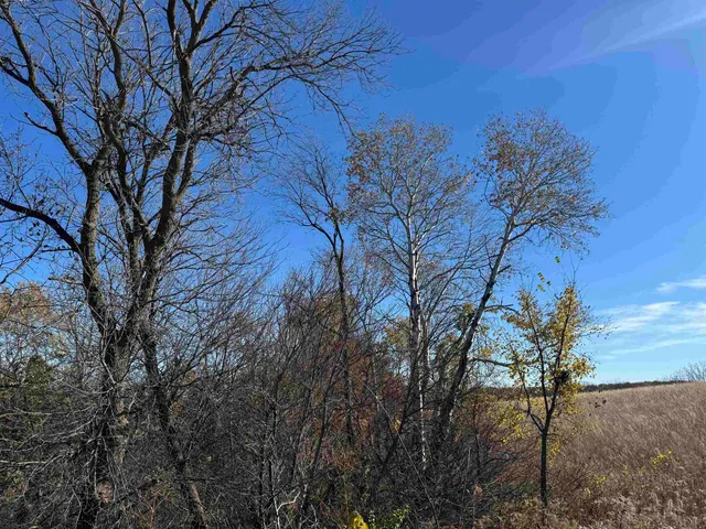 $390,000 | 11.5 M/l Acres Primrose Centre, Belleville, WI 53508