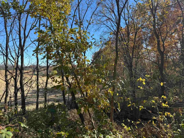 $390,000 | 11.5 M/l Acres Primrose Centre, Belleville, WI 53508