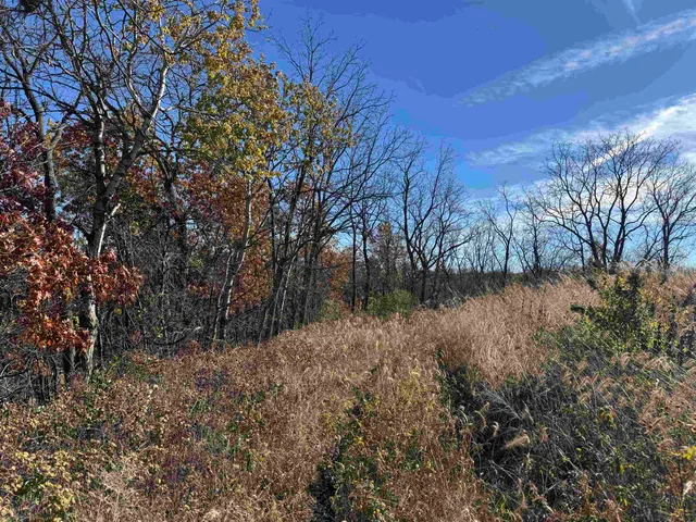 $390,000 | 11.5 M/l Acres Primrose Centre, Belleville, WI 53508