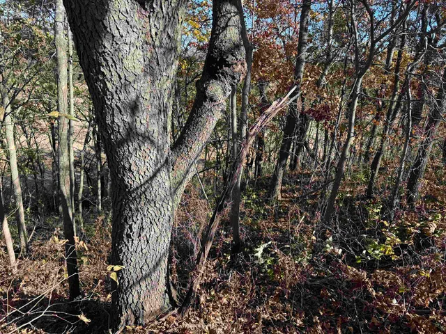 $390,000 | 11.5 M/l Acres Primrose Centre, Belleville, WI 53508